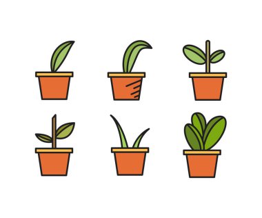 ev bitkisi simgeleri vektör illüstrasyonunu ayarla