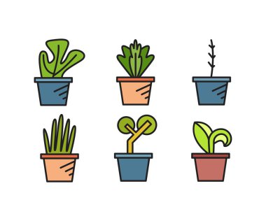 ev bitkisi simgeleri vektör illüstrasyonunu ayarla