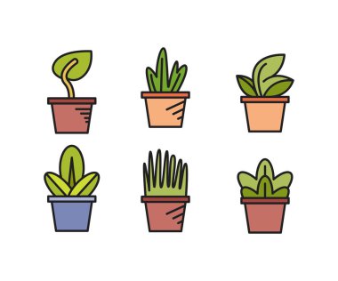 ev bitkisi simgeleri vektör illüstrasyonunu ayarla