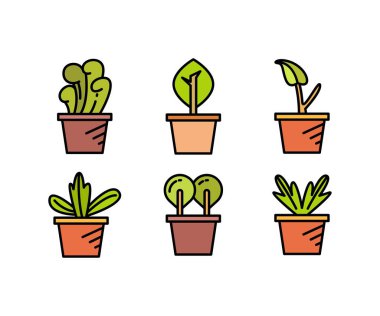 bitki saksısı simgeleri vektör illüstrasyonunu ayarla