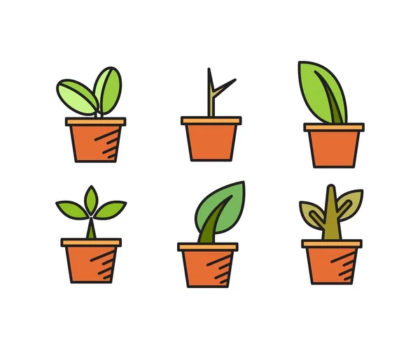 Zimmerpflanze Symbole Setzen Vektor Illustration — Stockvektor
