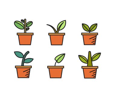 bitki saksısı simgeleri vektör illüstrasyonunu ayarla