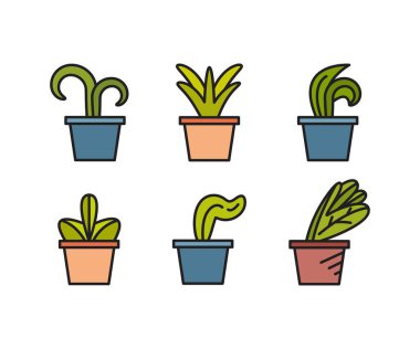 bitki saksısı simgeleri vektör illüstrasyonunu ayarla
