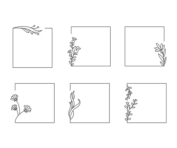 Decoratieve Bloemen Frames Set Lijn Illustratie — Stockvector