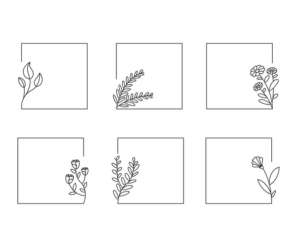 Cadres Floraux Décoratifs Set Ligne Illustration — Image vectorielle