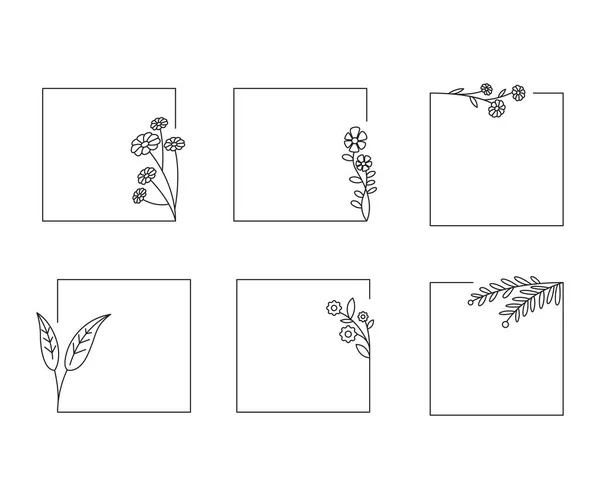 Decoratieve Bloemen Frames Set Lijn Illustratie — Stockvector