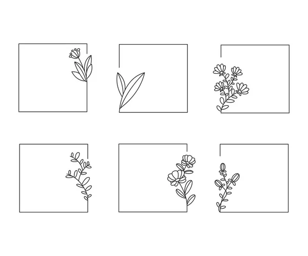 Dekorative Florale Rahmen Setzen Linie Illustration — Stockvektor
