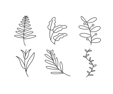 Dekoratif çiçek çerçeveleri çizgi çizimi