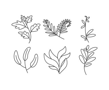 Dekoratif çiçek çerçeveleri çizgi çizimi