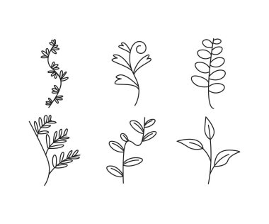 Dekoratif çiçek çerçeveleri çizgi çizimi