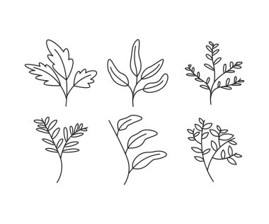 Dekoratif çiçek çerçeveleri çizgi çizimi