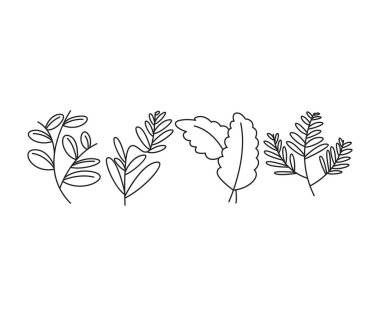 Dekoratif terk simgeleri vektör çizgisi çizimi