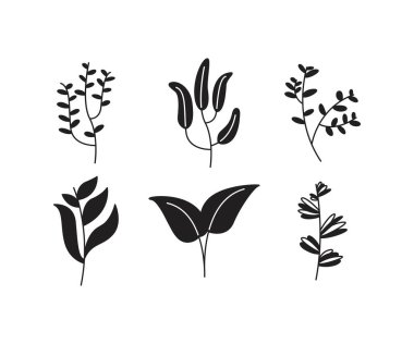 Yaprak ve dal vektör illüstrasyonunu ayarla