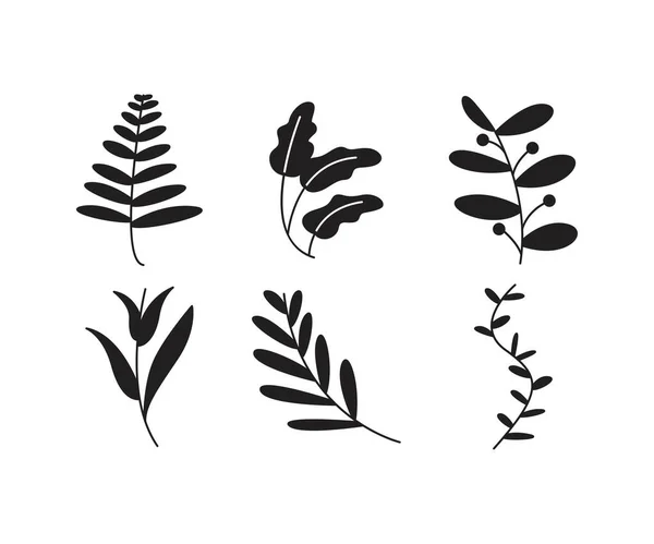 Leaves Branch Set Vector Illustration — Stock Vector
