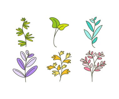 leaves icons set vector illustration