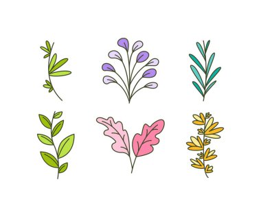 leaves icons set vector illustration