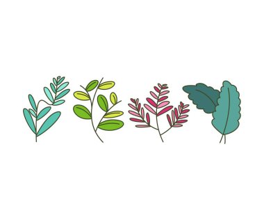 leaves icons set vector illustration