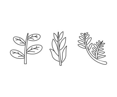 floral elements, branches and leaves line art vector illustration