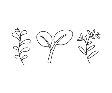 floral elements, branches and leaves line art vector illustration