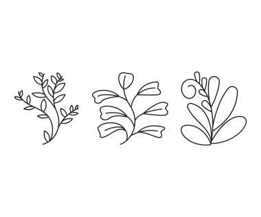 floral elements, branches and leaves line art vector illustration