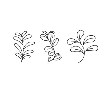floral elements, branches and leaves line art vector illustration