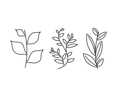 floral elements, branches and leaves line art vector illustration