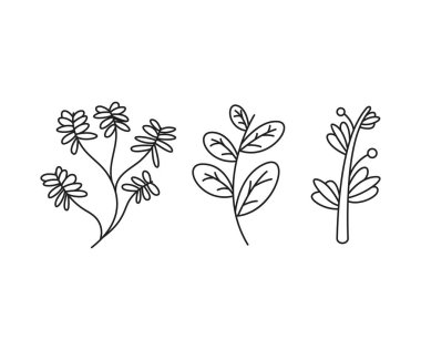floral elements, branches and leaves line art vector illustration