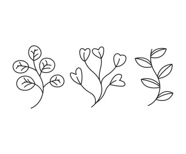 floral elements, branches and leaves line art vector illustration