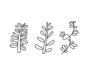 floral elements, branches and leaves line art vector illustration
