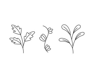 floral elements, branches and leaves line art vector illustration