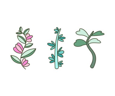 Foliage and Natural Leaves Illustration