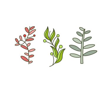 Foliage and Natural Leaves Illustration