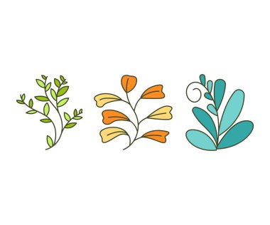 Foliage and Natural Leaves Illustration