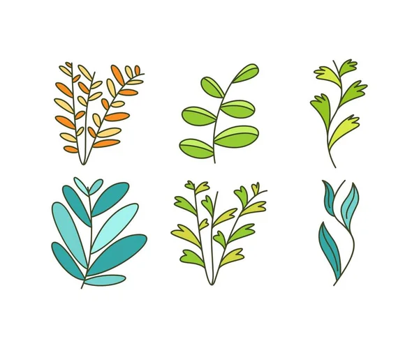 Foliage Natural Leaves Illustration — Vetor de Stock