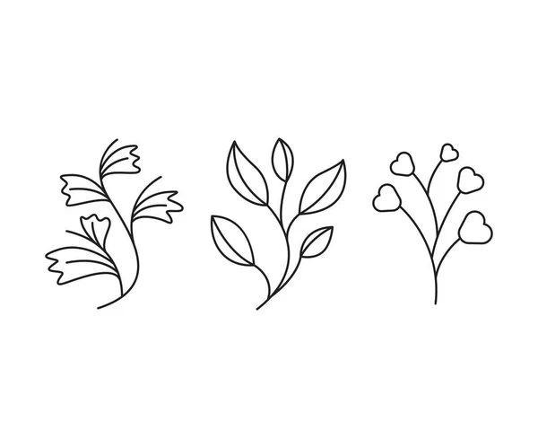 Floral Elements Branches Leaves Line Art Vector Illustration — Vetor de Stock