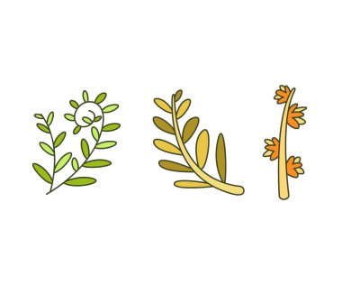 Yaprak ve dal vektör illüstrasyonunu ayarla