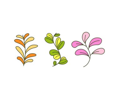 Yaprak ve dal vektör illüstrasyonunu ayarla