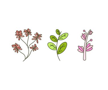 Yaprak ve dal vektör illüstrasyonunu ayarla