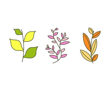 Yaprak ve dal vektör illüstrasyonunu ayarla