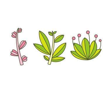 Yaprak ve dal vektör illüstrasyonunu ayarla