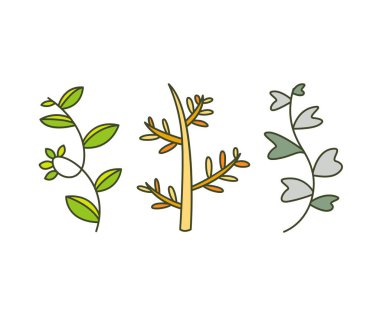 Yaprak ve dal vektör illüstrasyonunu ayarla