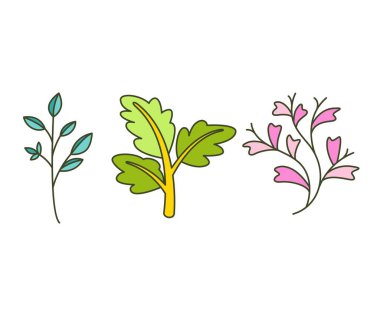 Foliage and Natural Leaves Illustration