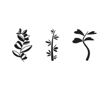 Yaprak ve dal vektör illüstrasyonunu ayarla