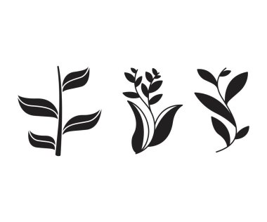 Yaprak ve dal vektör illüstrasyonunu ayarla