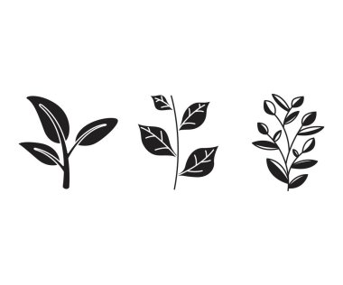 Yaprak ve dal vektör illüstrasyonunu ayarla