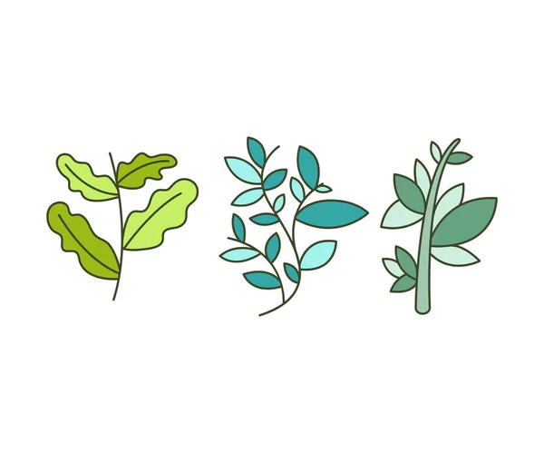 Blätter Und Verzweigte Vektorabbildung — Stockvektor