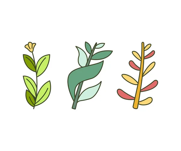 Foliage Natural Leaves Illustration — Stockvektor