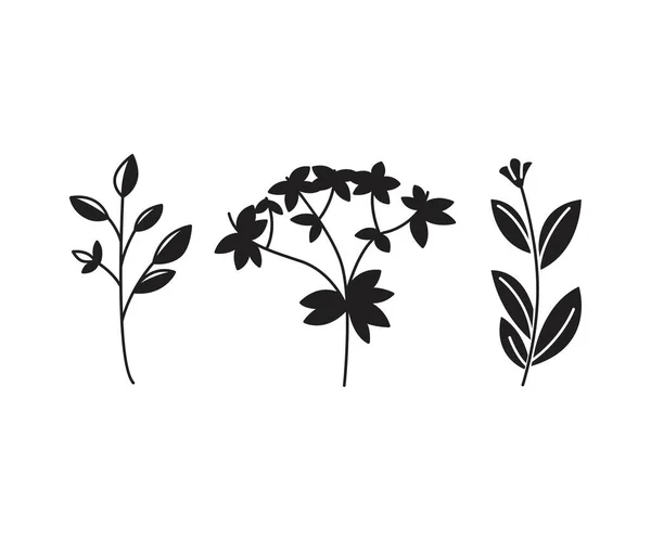 Blätter Und Verzweigte Vektorabbildung — Stockvektor