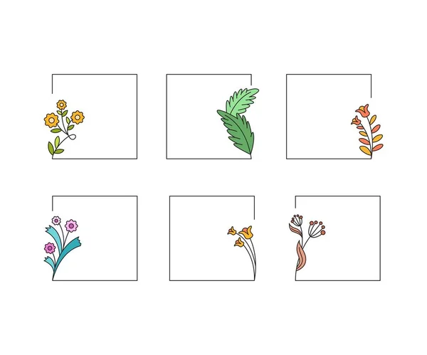Dekorative Florale Rahmen Setzen Illustration — Stockvektor