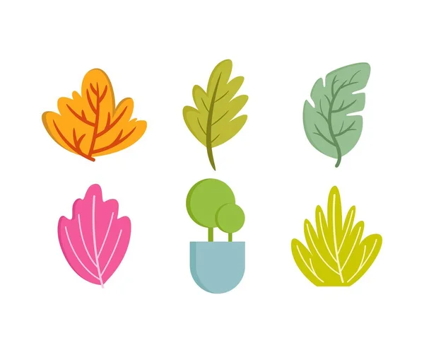Colorful Leaf Icons Set Vector Illustration — Stock Vector